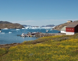 Narsaq by VisitGreenalnd